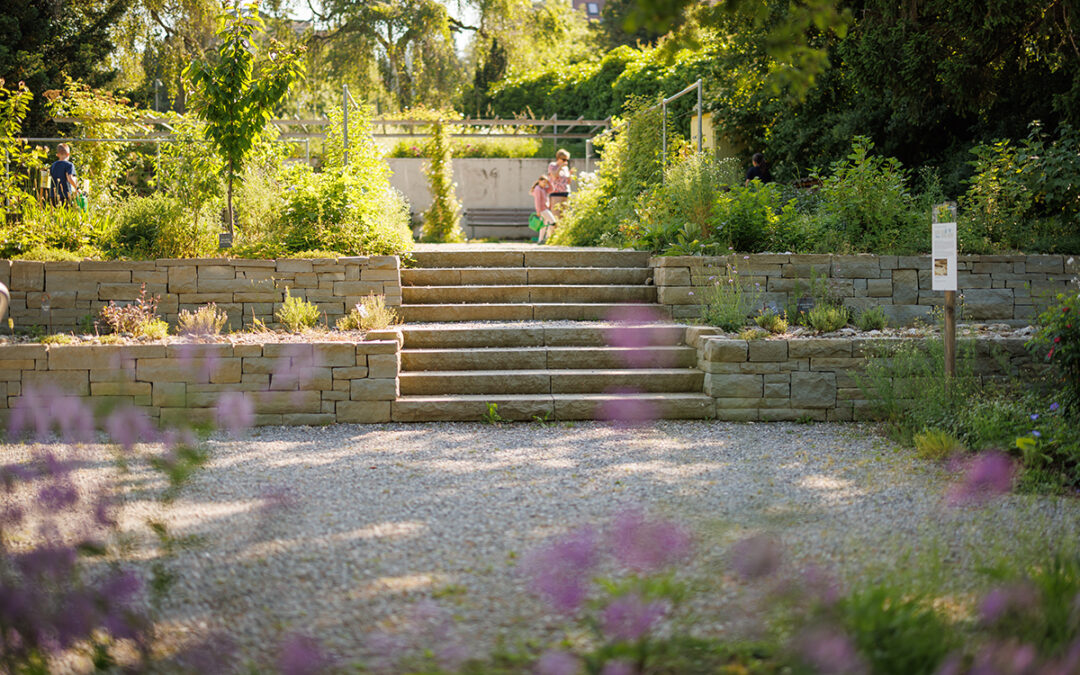 Projektleiter:in Gartenbau